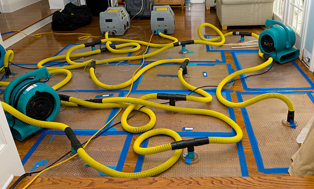 Professional Burst Pipe Water Damage technician working in Deweyville, UT